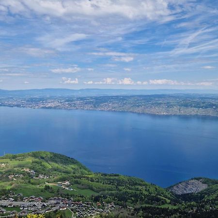 Appartement Tout Confort Montagne Et Lac Leman Thollon-les-Memises Екстер'єр фото