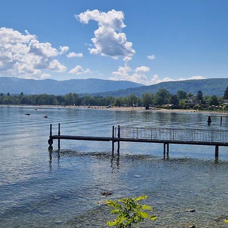Appartement Tout Confort Montagne Et Lac Leman Thollon-les-Memises Екстер'єр фото