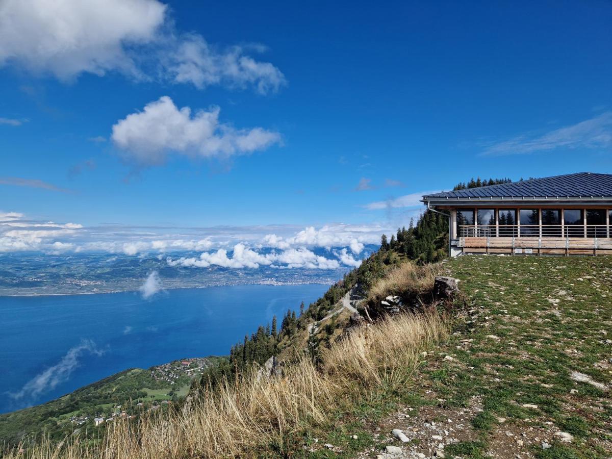Appartement Tout Confort Montagne Et Lac Leman Thollon-les-Memises Екстер'єр фото
