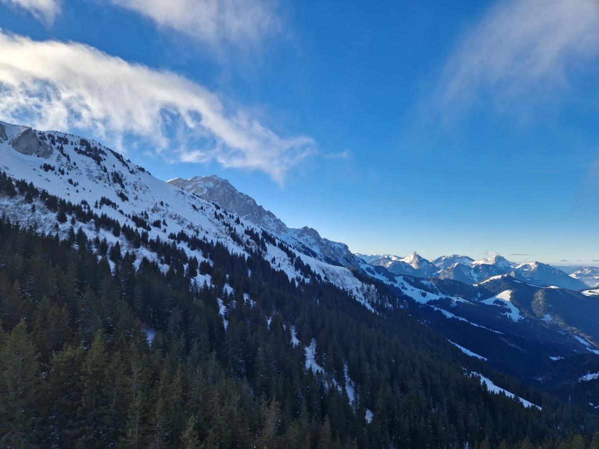 Appartement Tout Confort Montagne Et Lac Leman Thollon-les-Memises Екстер'єр фото