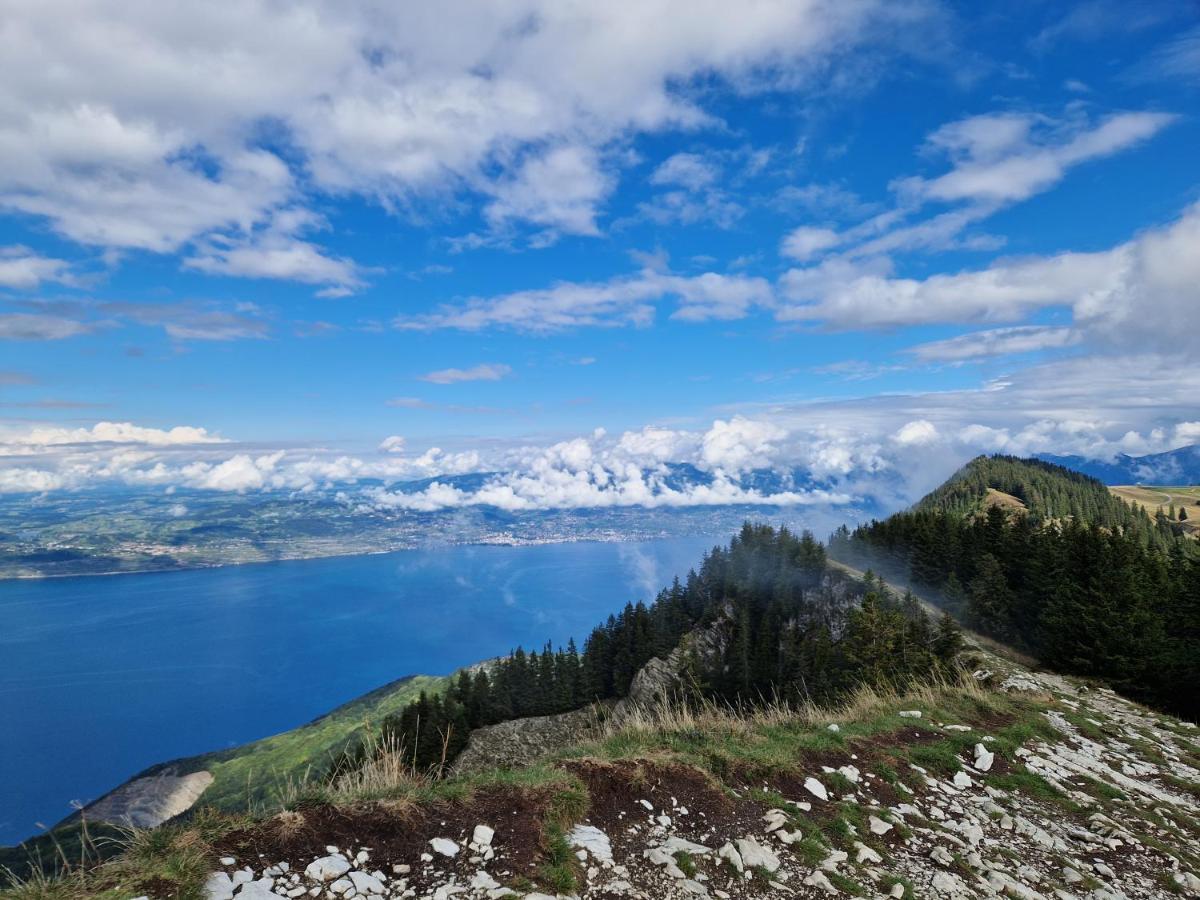 Appartement Tout Confort Montagne Et Lac Leman Thollon-les-Memises Екстер'єр фото